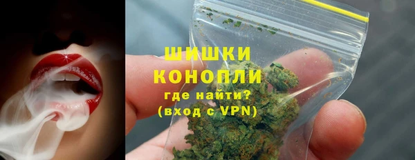 гашик Дмитровск