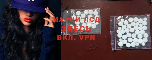 гашик Дмитровск