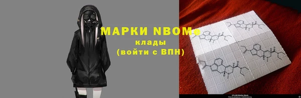 гашик Дмитровск