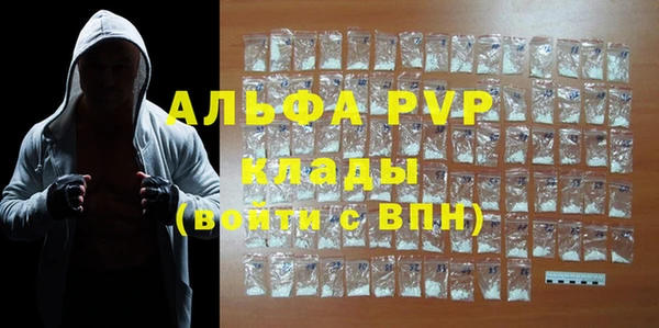 гашик Дмитровск