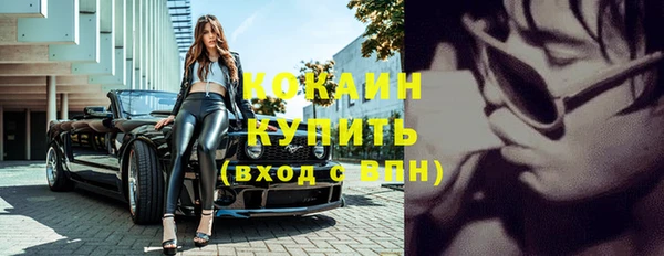 гашик Дмитровск
