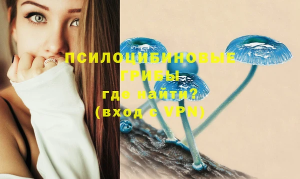 марки lsd Дмитров