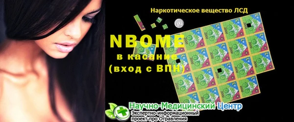 гашик Дмитровск